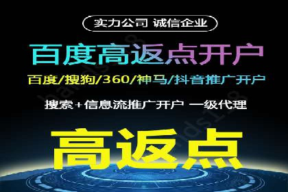 提升关键词竞价排名转化率：经典案例解析